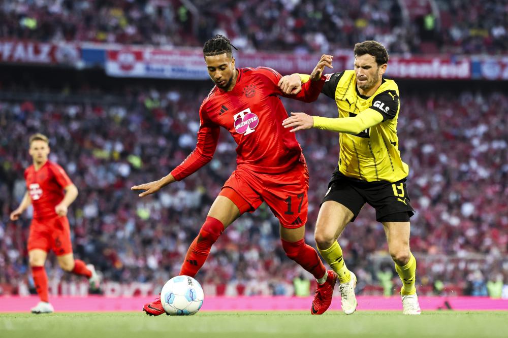 抑或雄鹿将 抑或雄鹿将